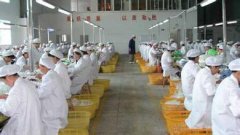 佛山市*宠物用品厂顺利通过质量/人权验厂